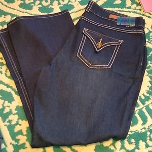 Jeanerosity Dark Blue Denim Jeans 18W Stretch NWT